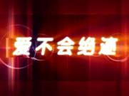 爱不会绝迹(宽屏)-PR CS3婚纱01