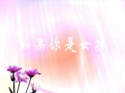 P167 如果你是女孩 PRCS3宽屏版