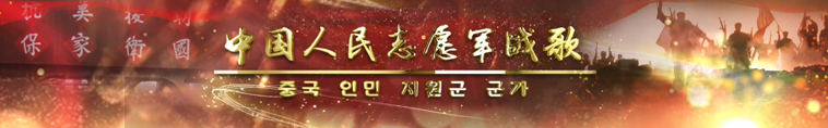 主题购买
